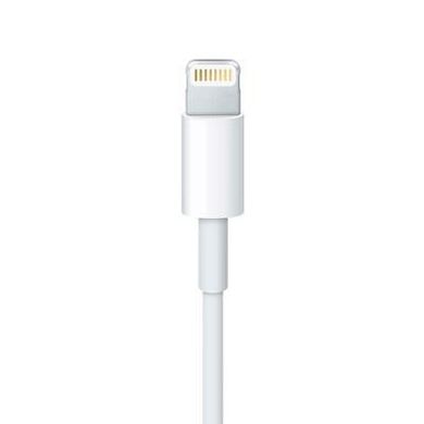Lightning Apple Lightning to USB-C 1m