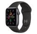 Apple Watch SE GPS + Cellular 40mm Space Gray 1 из 2