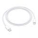 Apple USB-C to Lightning Cable 1m (MM0A3) (EU) 1 з 4