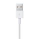 Apple Lightning to USB Cable 1m (MXLY2) (EU) 3 з 3