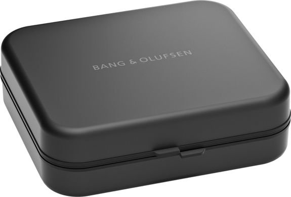 Bang & Olufsen BeoPlay H95
