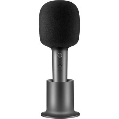 Xiaomi Mijia Karaoke Gray (XMKGMKF01YM)