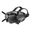 DJI FPV Goggles V2 (CP.FP.00000018.01, CP.FP.00000018.02)