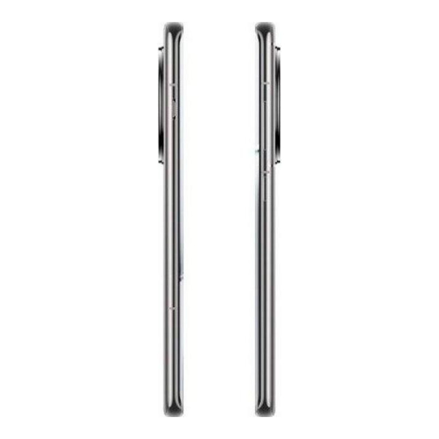 OnePlus Ace 3 Pro 16/512GB Gray