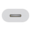 Apple USB-C to Lightning Adapter White (MUQX3) (EU)