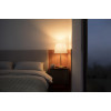 LED Xiaomi Mi Smart LED Bulb Essential MJDPL01YL White and Color (GPX4021GL)