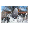 SanDisk Extreme PRO V2 2 TB (SDSSDE81-2T00-G47G)