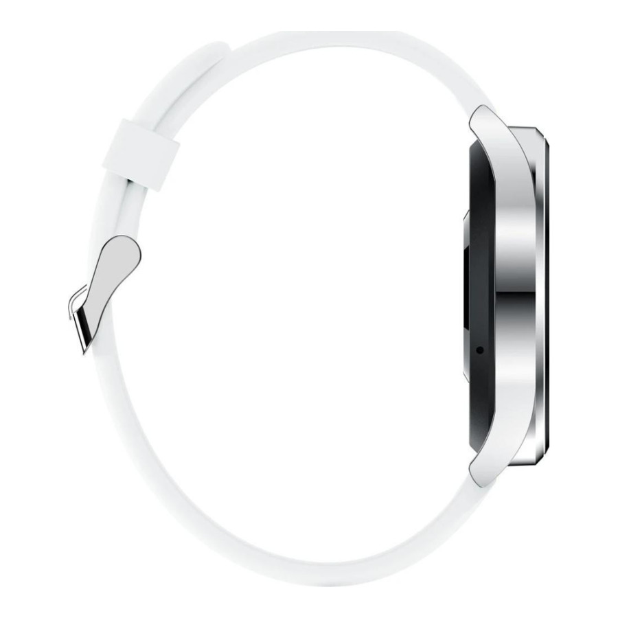Black Shark S1 Classic Silver (UA)