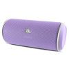 JBL Flip (Purple)