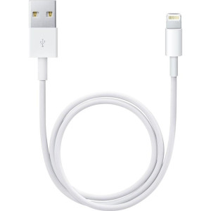 Apple Lightning to USB Cable 0.5m (ME291) (High Copy)