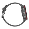 Garmin Forerunner 255 Slate Gray (010-02641-00/10/43)