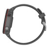 Garmin Forerunner 255 Slate Gray (010-02641-00/10/43)