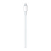 Apple USB-C to Lightning Cable 1m (MM0A3) (EU)