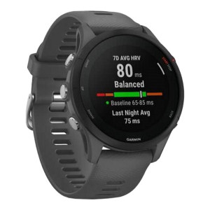 Garmin Forerunner 255 Slate Gray (010-02641-00/10/43)