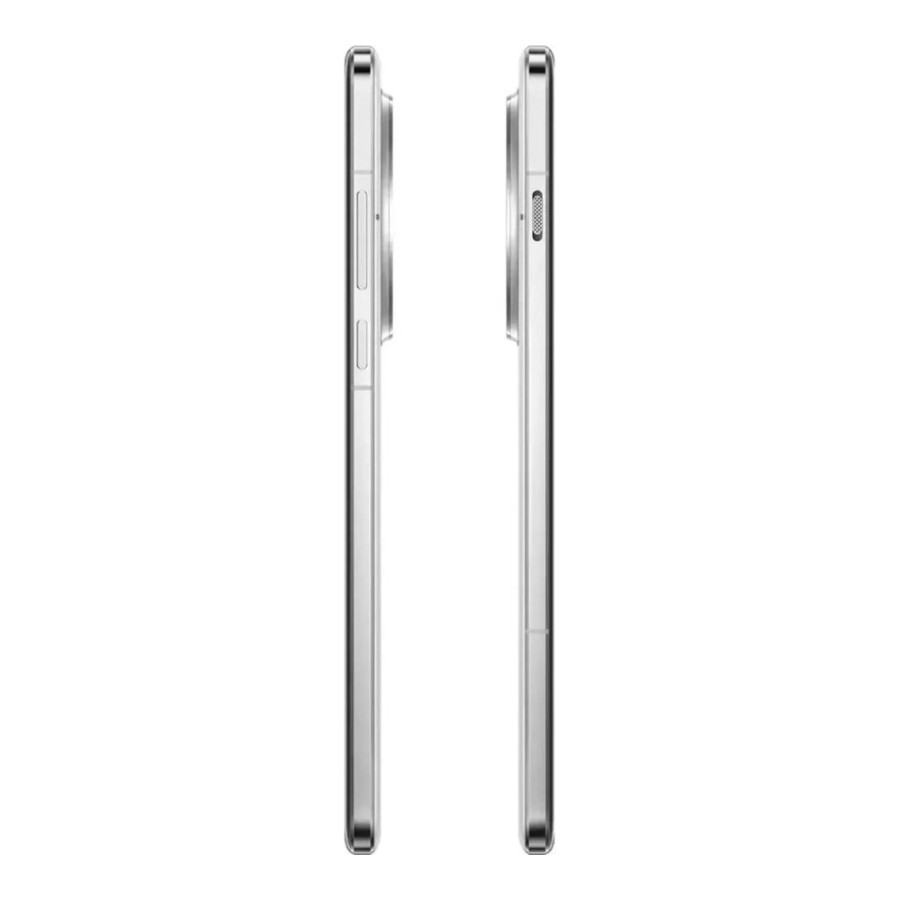 OnePlus 13 12/256GB Arctic Dawn