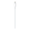 Apple USB-C to Lightning Cable 1m (MQGJ2) (EU)