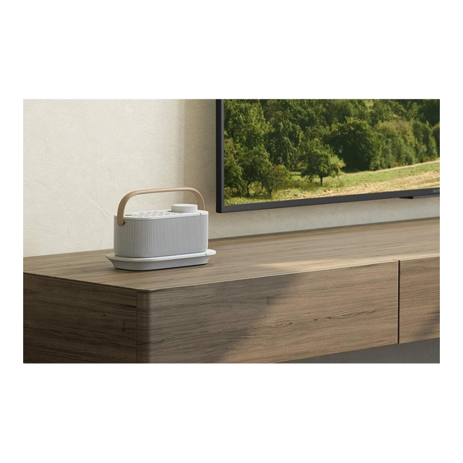 Sony SRS-LSR200