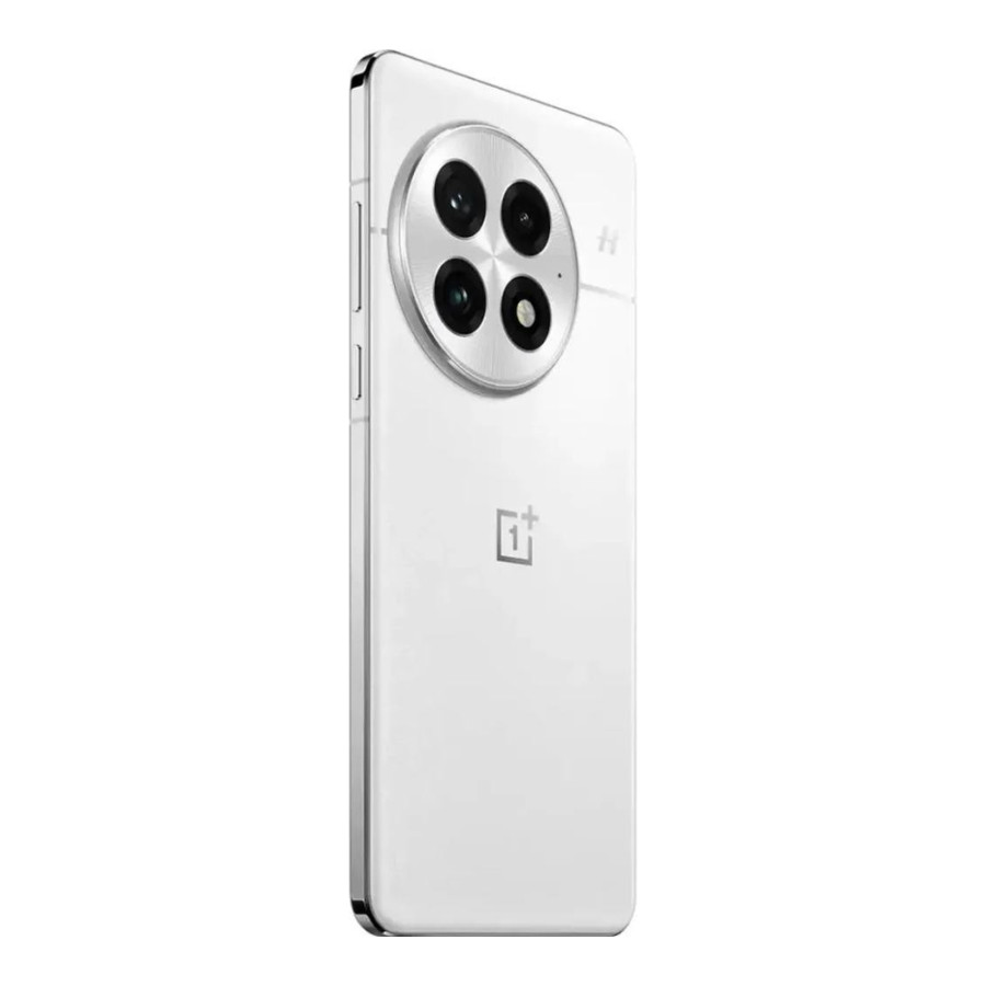 OnePlus 13 12/256GB Arctic Dawn