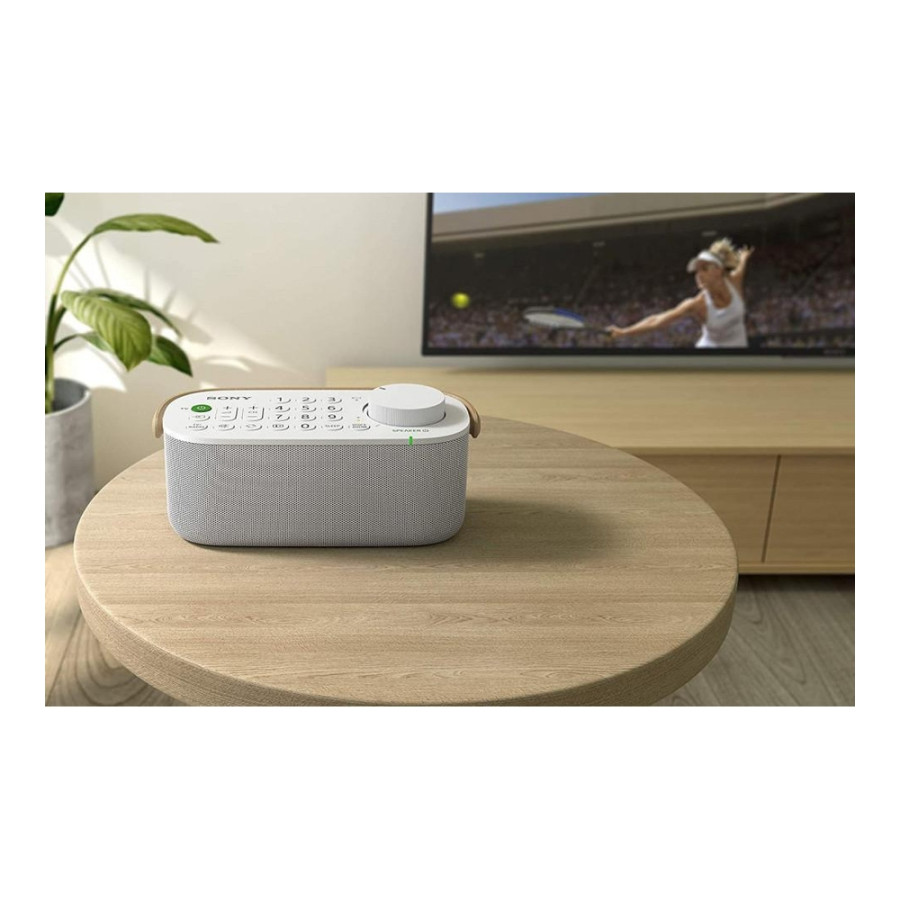 Sony SRS-LSR200