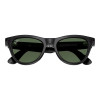 Ray-Ban Meta Skyler Standard - Shiny Black / G-15 Green (RW4010 601/71 52-20)