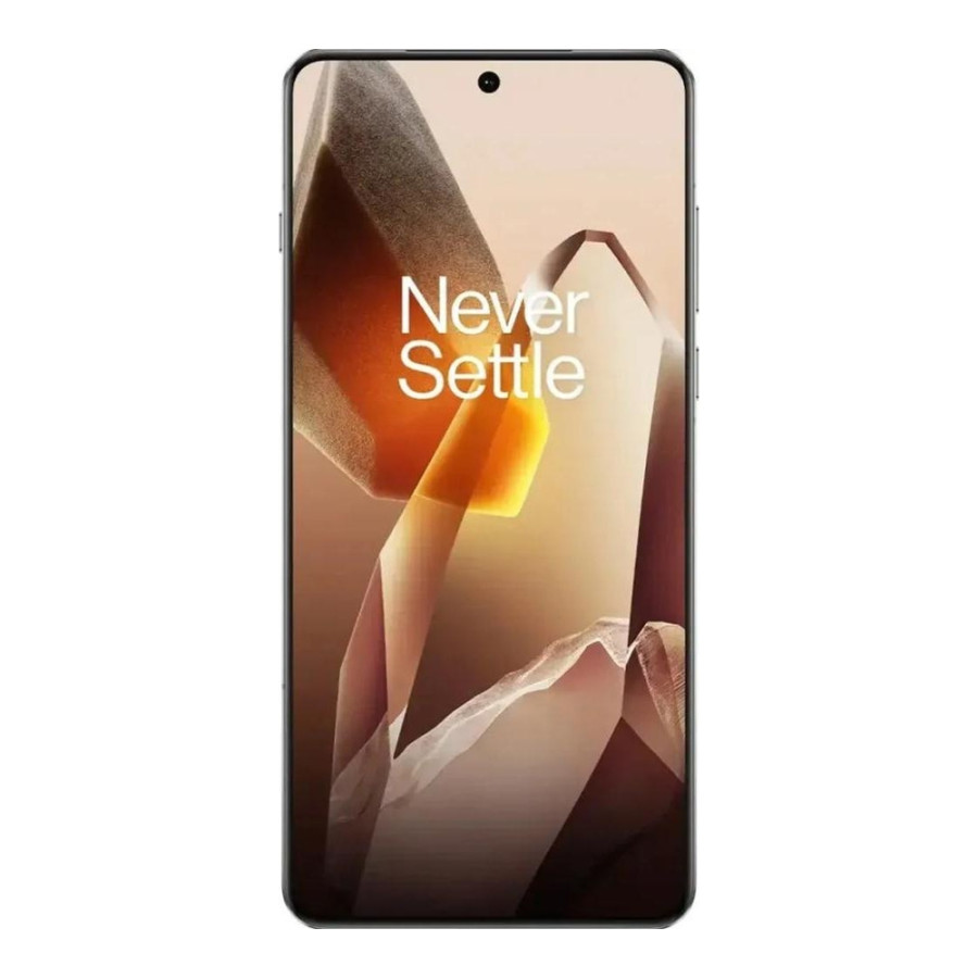 OnePlus 13 12/256GB Arctic Dawn