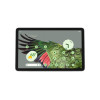 Google Pixel Tablet 256GB Hazel (JP)