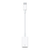 Apple USB-C to USB Adapter (MJ1M2) (EU)