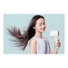 Xiaomi Mi Ionic Hair Dryer H300 (HBR5081GL)