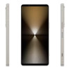 Sony Xperia 1 VI 12/256GB Platinum Silver