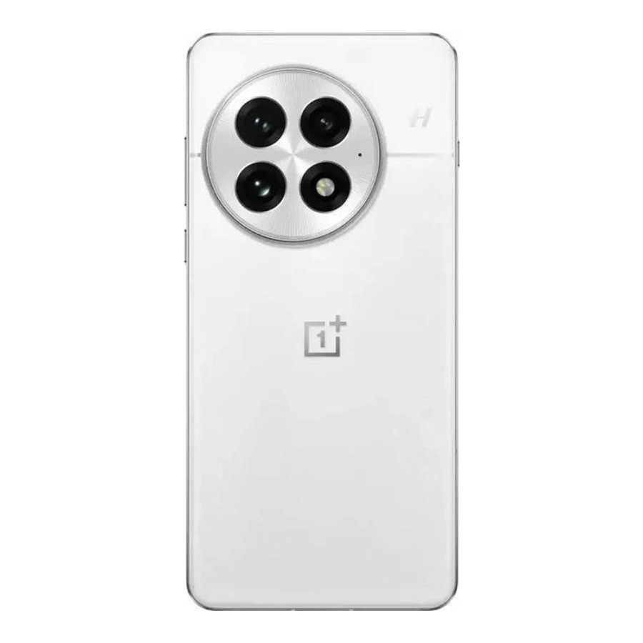 OnePlus 13 24/1TB Arctic Dawn (Global Version) INDIA