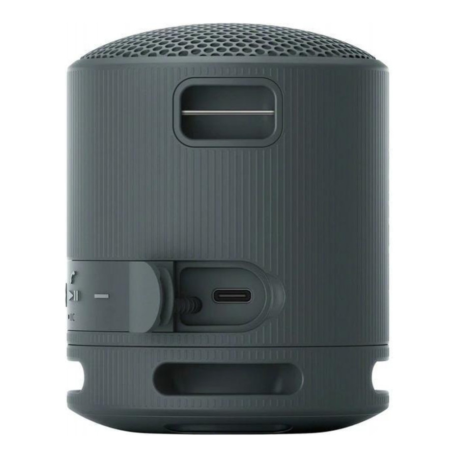 Sony SRS-XB100 Black (SRSXB100B)