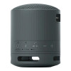 Sony SRS-XB100 Black (SRSXB100B)