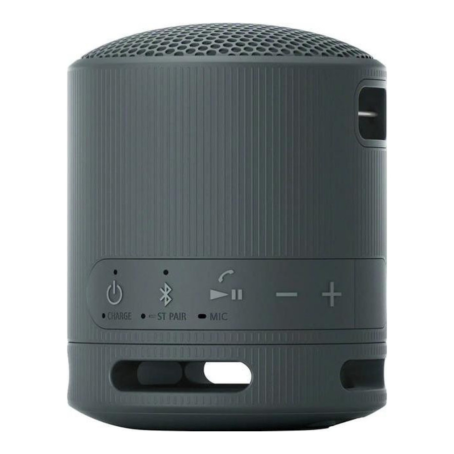 Sony SRS-XB100 Black (SRSXB100B)