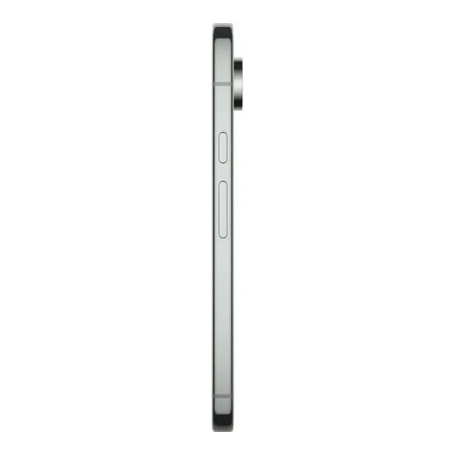 Google Pixel 9 Pro XL 16/128GB Hazel
