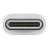 Apple USB-C to USB Adapter (MJ1M2) (EU)