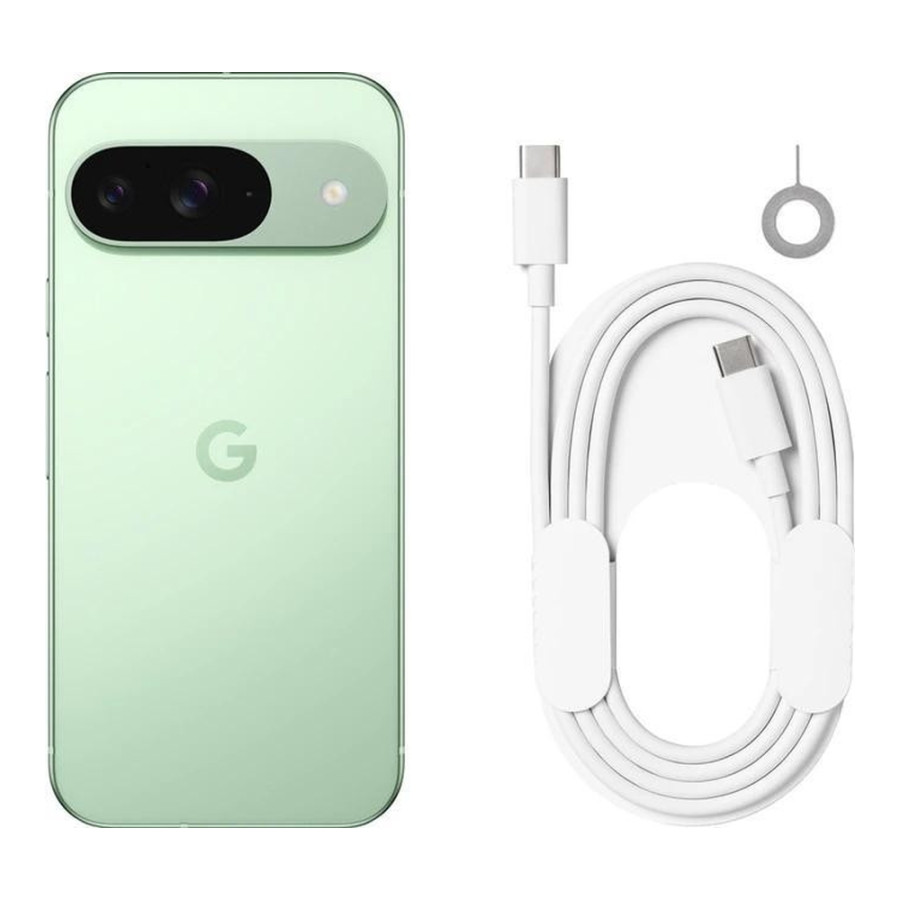 Google Pixel 9 12/128GB Wintergreen (JP)