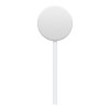 Apple Watch Magnetic Fast Charger to USB-C White (MLWJ3) (EU)