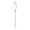 Apple Lightning to USB Cable 1m (MUQW3) (EU)