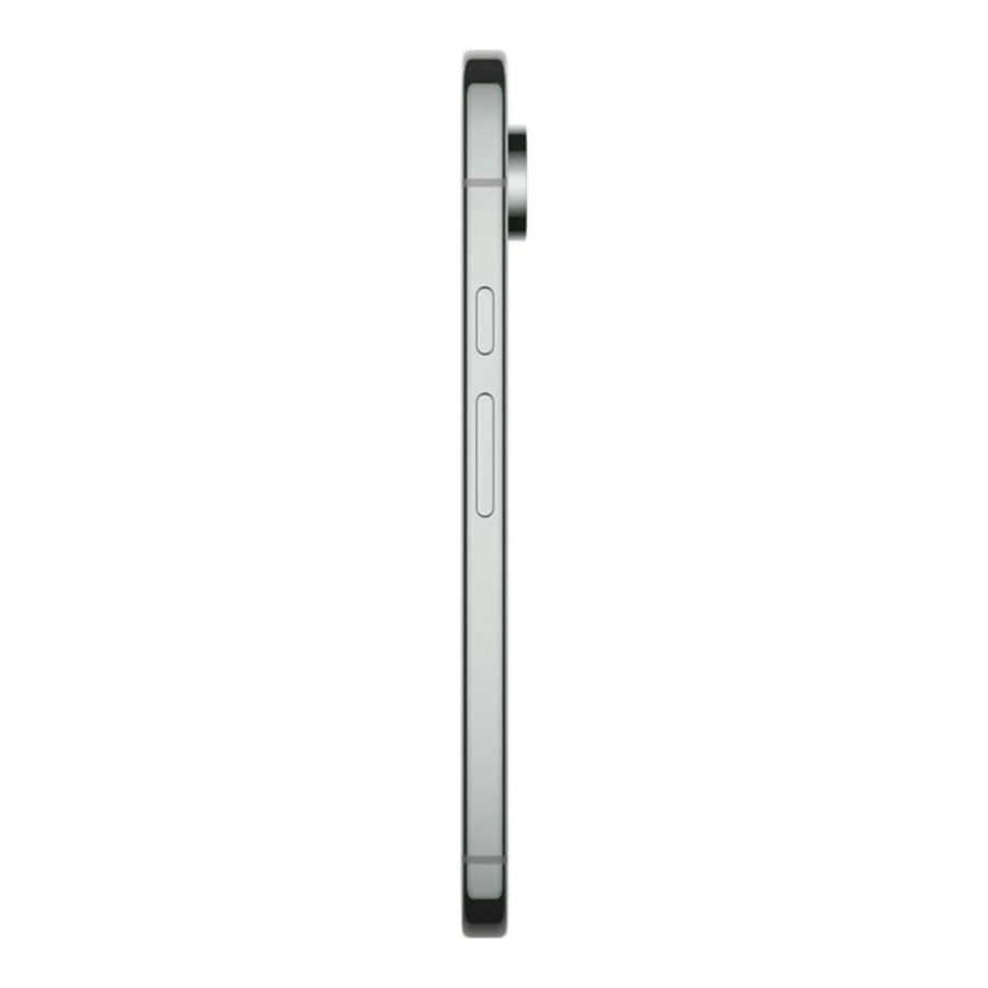 Google Pixel 9 Pro XL 16/256GB Hazel