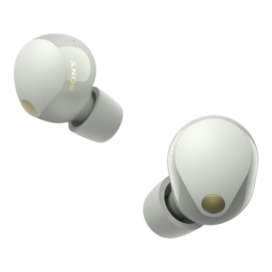 Sony WF-1000XM5 Silver (WF1000XM5S.CE7)