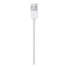 Apple Lightning to USB Cable 1m (MXLY2) (High Copy)