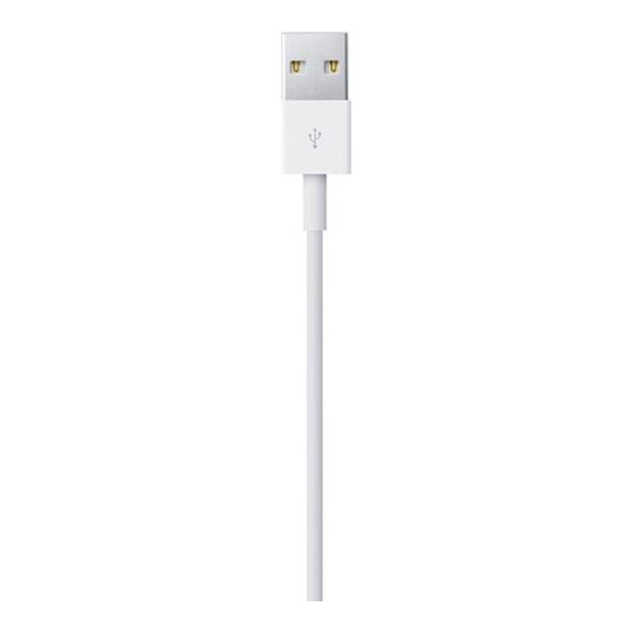 Apple Lightning to USB Cable 1m (MXLY2) (High Copy)