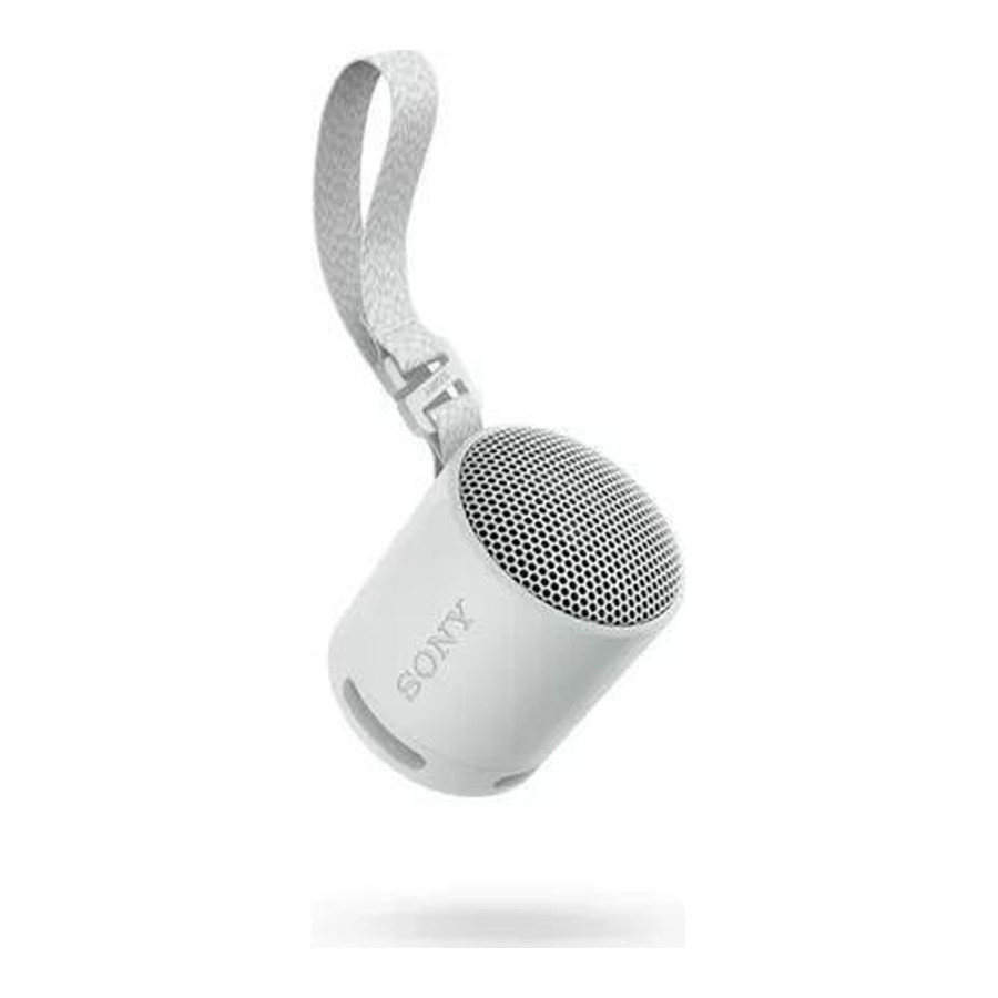 Sony SRS-XB100 Grey (SRSXB100H.CE7)