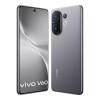Vivo V60 12/512GB Gray (Global Version)