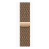 Apple Watch Series 10 GPS + Cellular 42mm Gold Titanium Case w. Gold Milanese Loop (MX083)