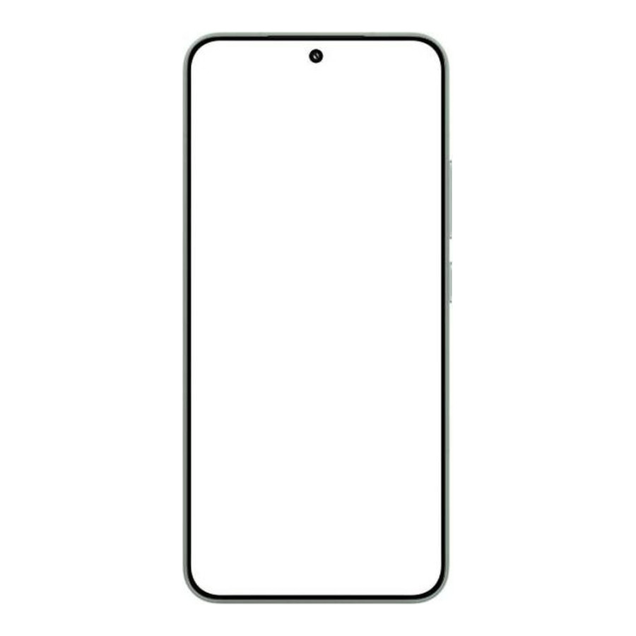 Xiaomi 15 12/256GB Green (Global Version)
