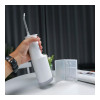MiJia Electric Teeth Flosser F300 Smoked White (BHR7008CN)