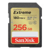 SanDisk 256 GB SDXC UHS-I U3 V30 Extreme (SDSDXVV-256G-GNCIN)