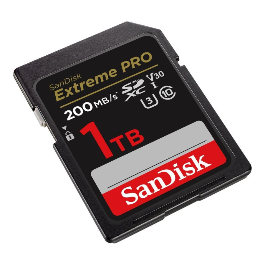 SanDisk 1 TB SDXC UHS-I U3 V30 Extreme PRO (SDSDXXD-1T00-GN4IN)