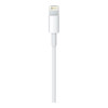Apple Lightning to USB Cable 2m (MD819) (EU)